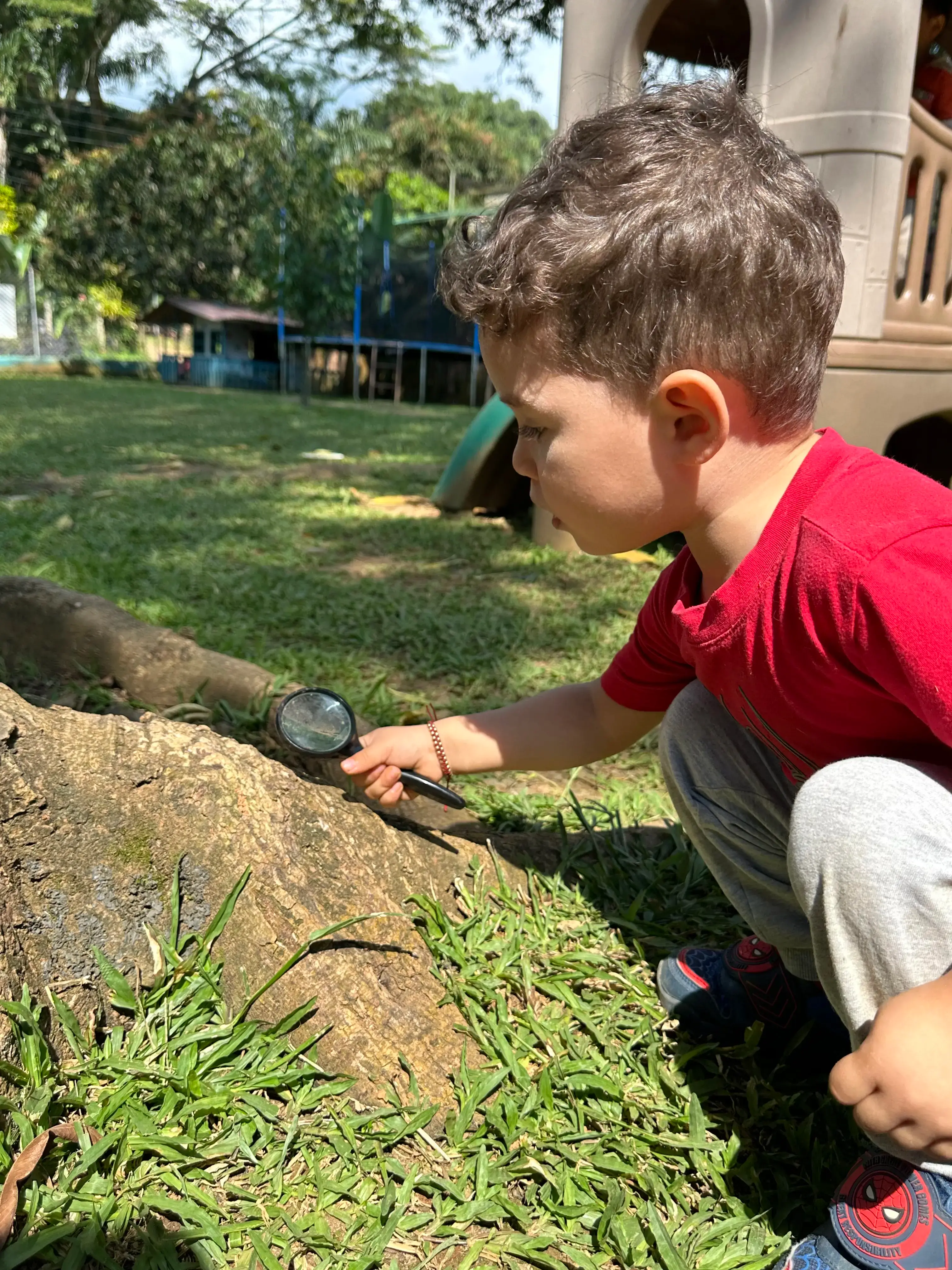 Exploración y descubrimiento animation