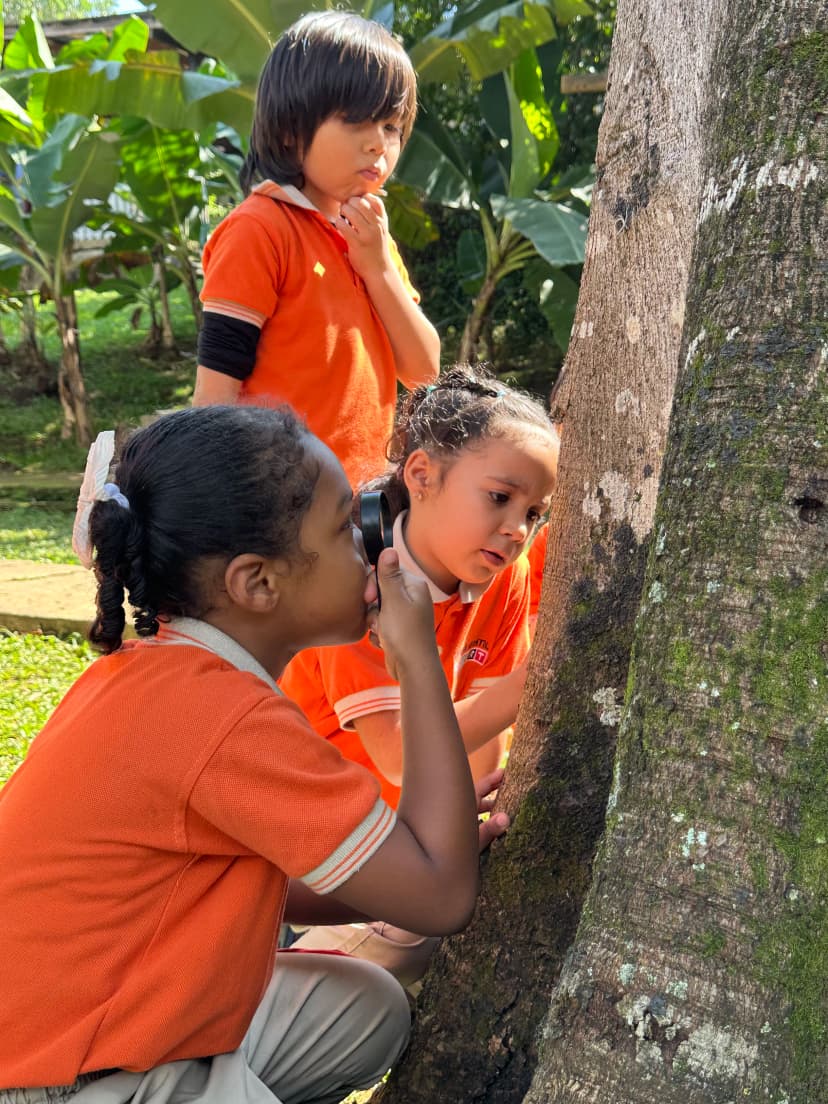 blog image that describes the activities