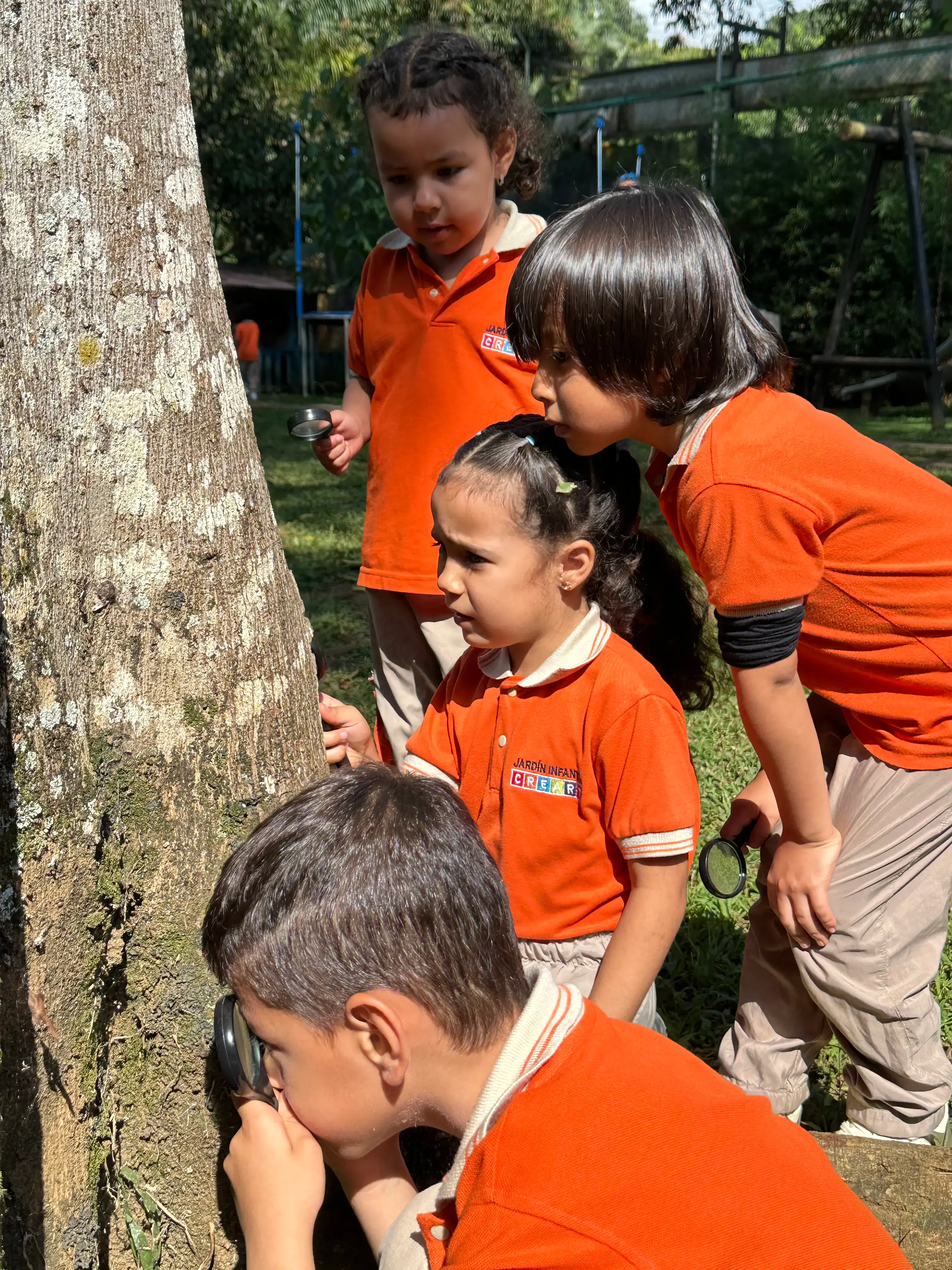 Actividad de caminantes